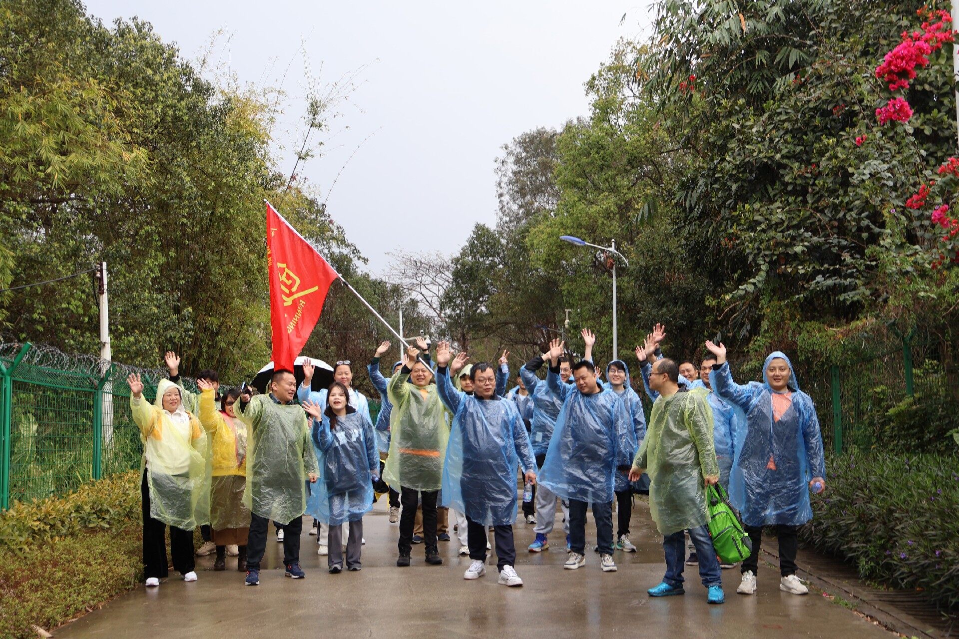 1709623426128822.jpg Mt17.jpg